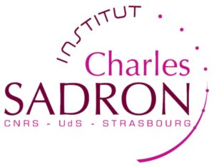 lien vers le site de l'institut Charles Sadron